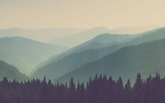 Paysage