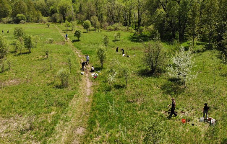 Des élèves de l’école secondaire de l’Odyssée contribuent à la plantation de 250 arbres sur la réserve naturelle Madakik